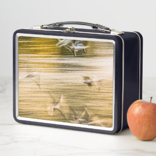 Lunch Box Mouettes volantes - abstrait