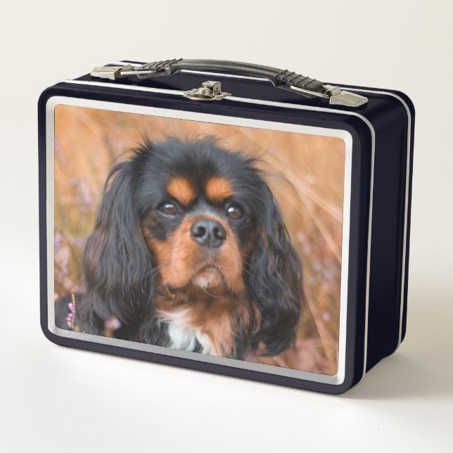 Lunch Box Noir et Tan Cavalier King Charles Spaniel Chien (Devant)