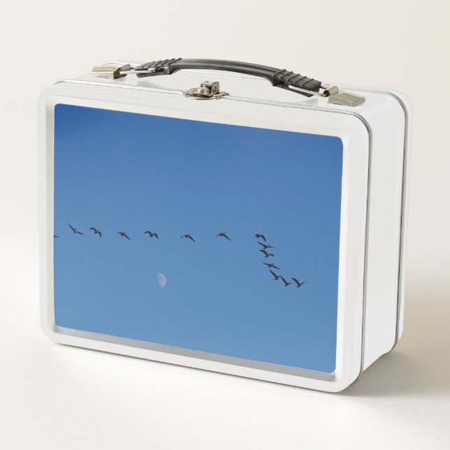 Lunch Box oies canadiennes en vol (Devant)