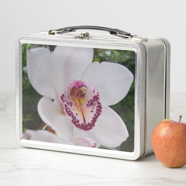 Lunch Box Orchidée Blanche I Belle Fleur Tropicale (En situation)