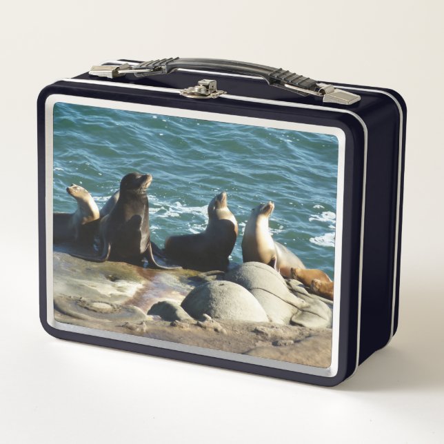 Lunch Box Otaries de San Diego (Devant)