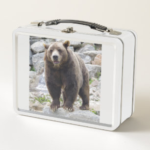 Lunch Box Ours kodiak