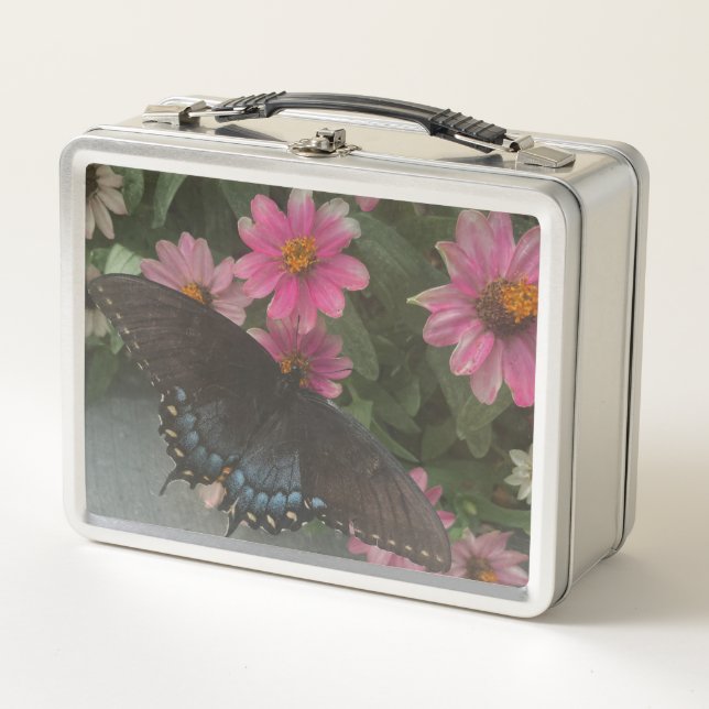 Lunch Box papillon bleu (Devant)