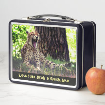 Passion alimentaire - Grosse chatte animal