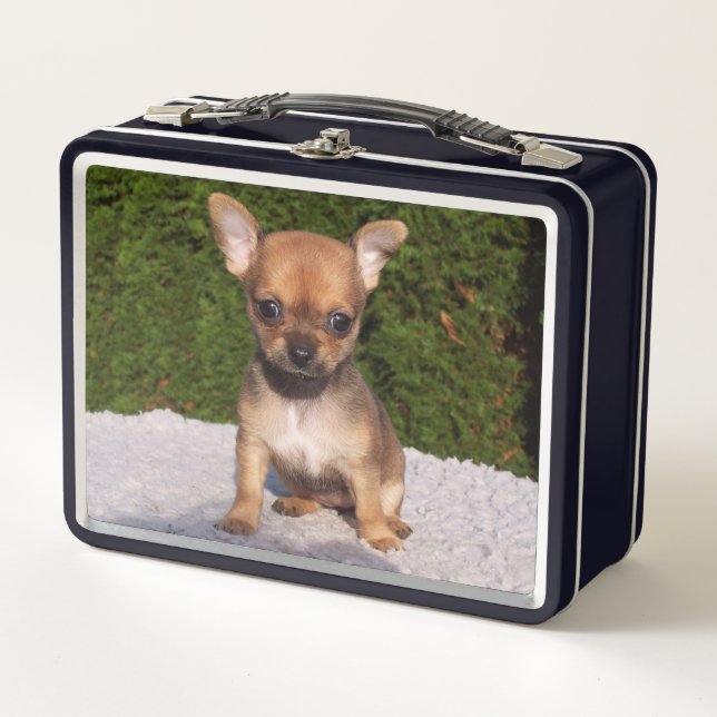 Lunch Box Petit Chihuahua Chien chiot mignon (Devant)