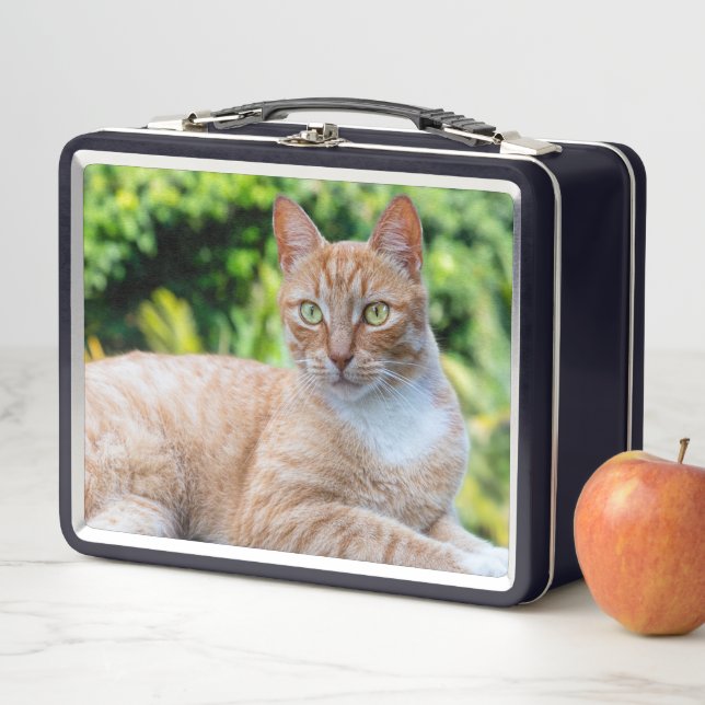 Lunch Box Petit chou doux (En situation)