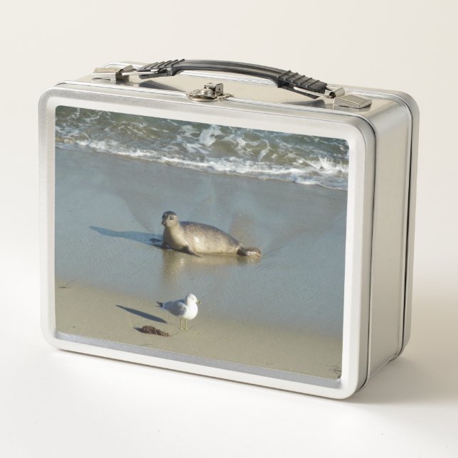 Lunch Box Phoque marin à La Jolla Californie (Devant)