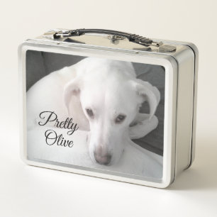 Lunch Box Photo de adorable Labrador Retriever Mix Dog Prett