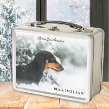 Photo de chien personnalisé stylé
