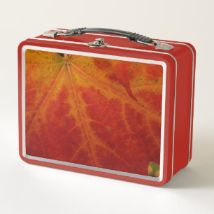 Lunch Box Photographie abstraite de la feuille d'érable roug