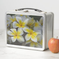 Photographie de Plumeria, Fleur Jaune