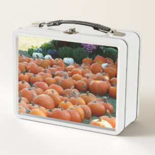 Lunch Box Photographie de récolte d'automne des citrouilles 