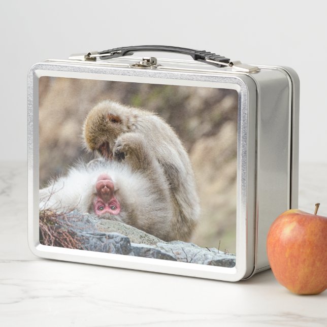 Lunch Box Photographie de singe, singe macaque japonais (En situation)