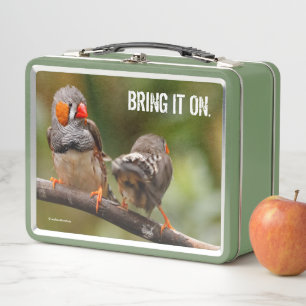 Lunch Box Pinsons zèbres effrontés oiseaux chanteurs sur une