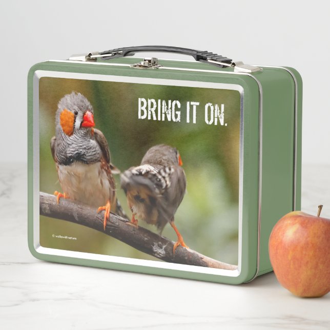Lunch Box Pinsons zèbres effrontés oiseaux chanteurs sur une (En situation)