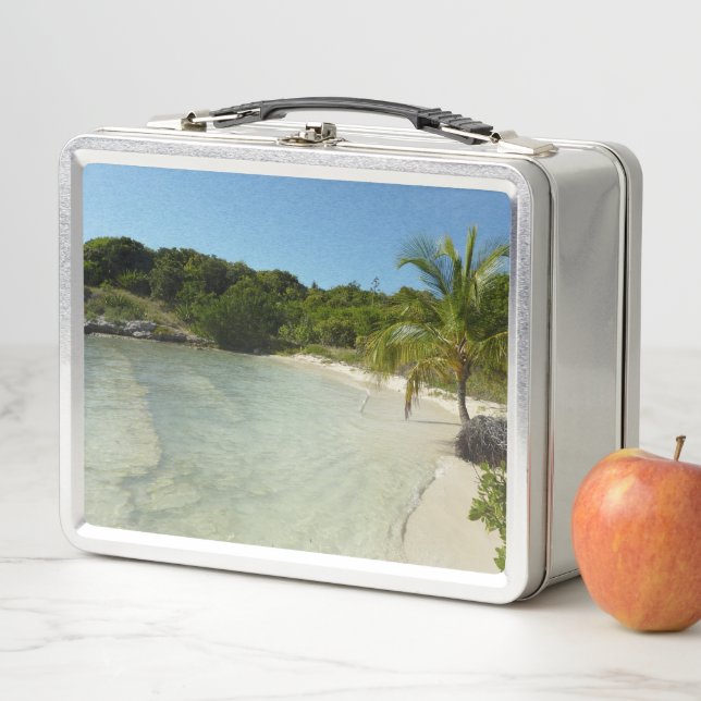 Lunch Box Plage d'Antigua Beau Paysage Tropical (En situation)