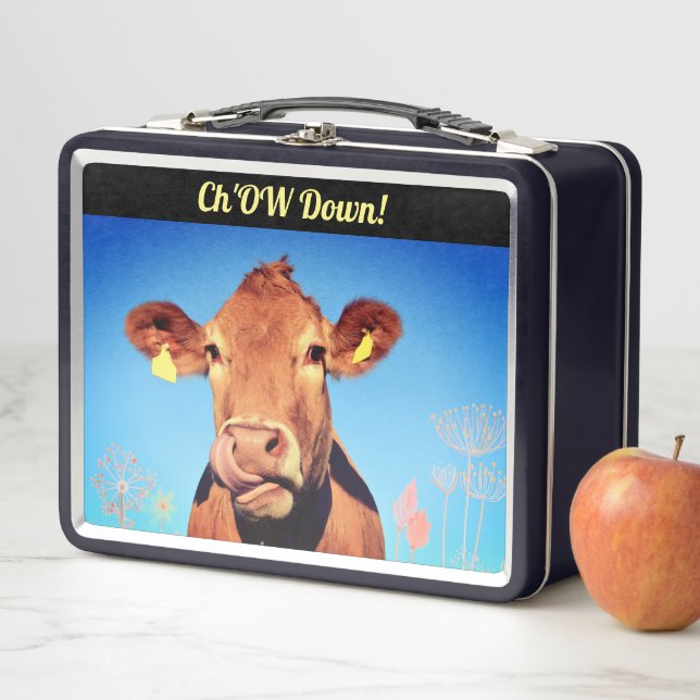 Lunch Box Plat Agréable Amusants (En situation)