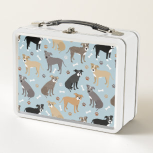 Lunch Box Poches et os Pitbulles