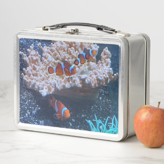 Lunch Box Poisson clown