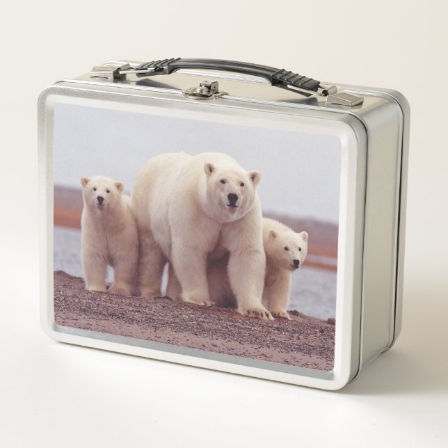 Lunch Box Polar Bear Cute Family Mother and Cubs Photo (Devant)