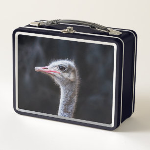 Lunch Box portrait d'autruche