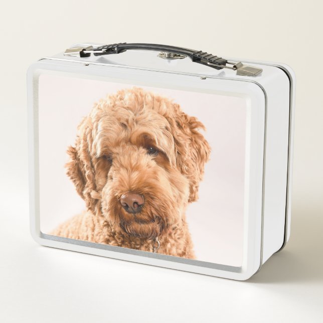 Lunch Box Portrait de Goldendoodle Studio (Dos)