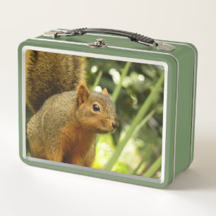 Lunch Box Portrait d'un écureuil Photographie d'animal dans 