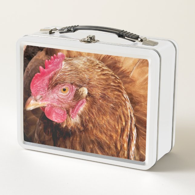 LUNCH BOX POULET CUIT (Devant)