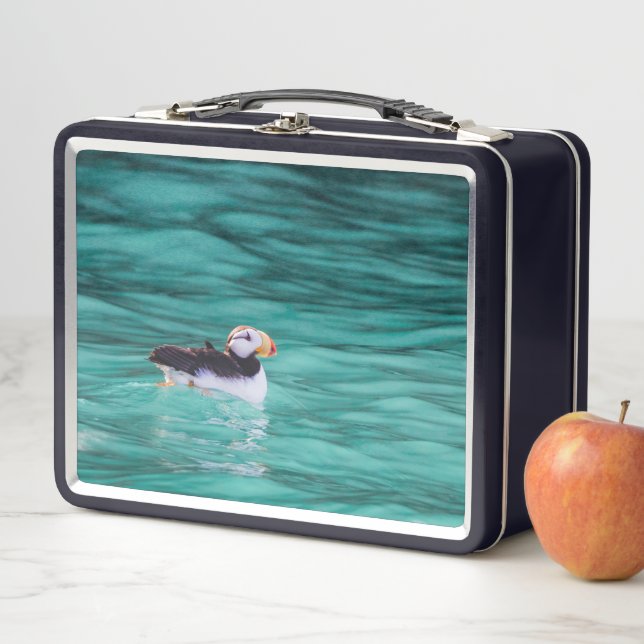Lunch Box Puffin Dans La Baie De Résurrection, Alaska (En situation)