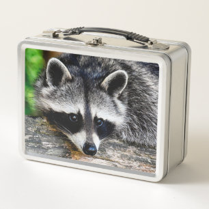 Lunch Box Raccoon 003