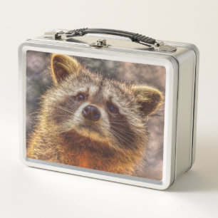 Lunch Box Raccoon peint
