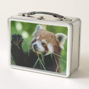 Lunch Box RedPanda 002