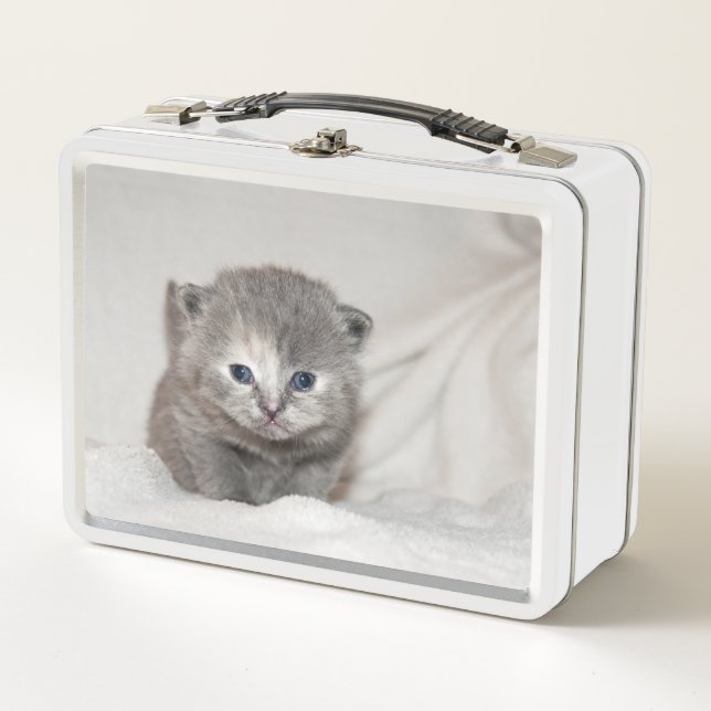 Lunch Box Regardez ce petit chaton gris (Devant)