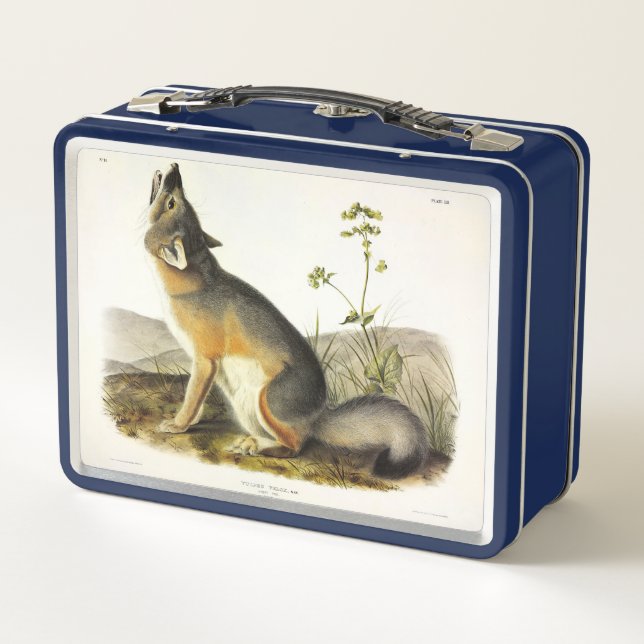 Lunch Box Renard rapide (Vulpes Velox) des Quadrupeds d'Audu (Dos)