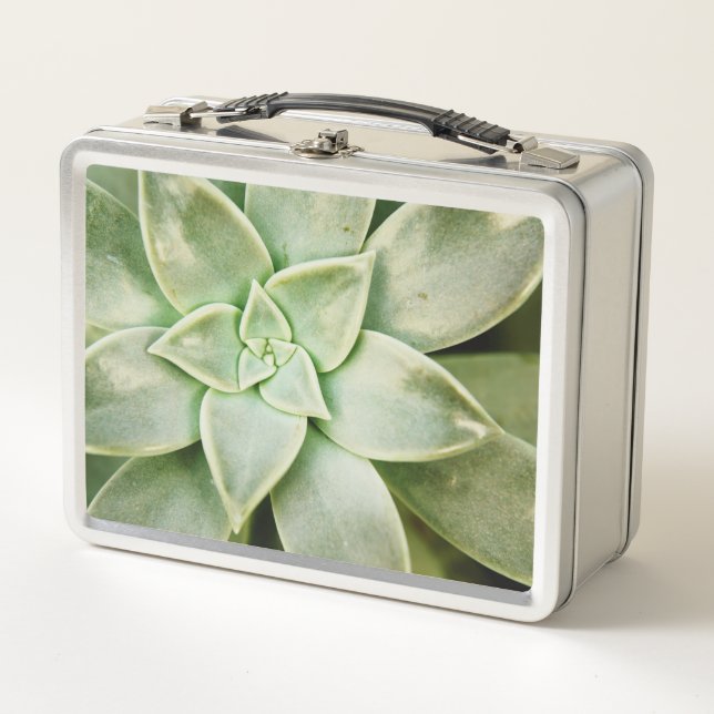 Lunch Box Ressort Succulent (Devant)