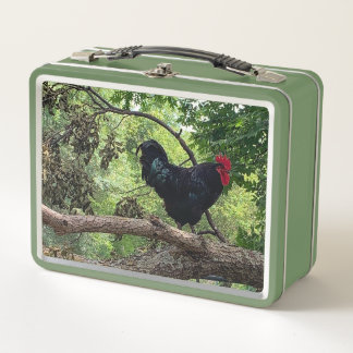 Lunch Box Rooster