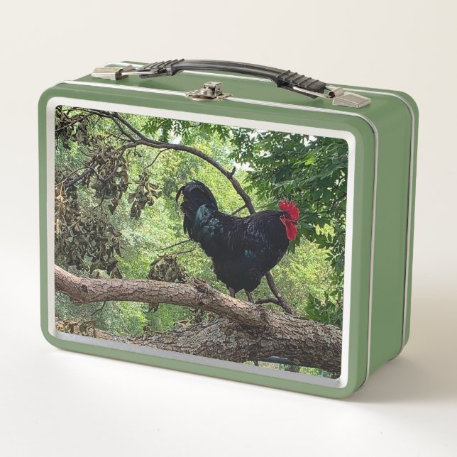 Lunch Box Rooster (Devant)