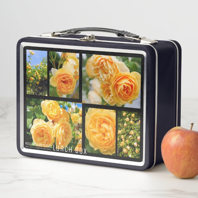 Lunch Box Rosa Graham Tomas (En situation)