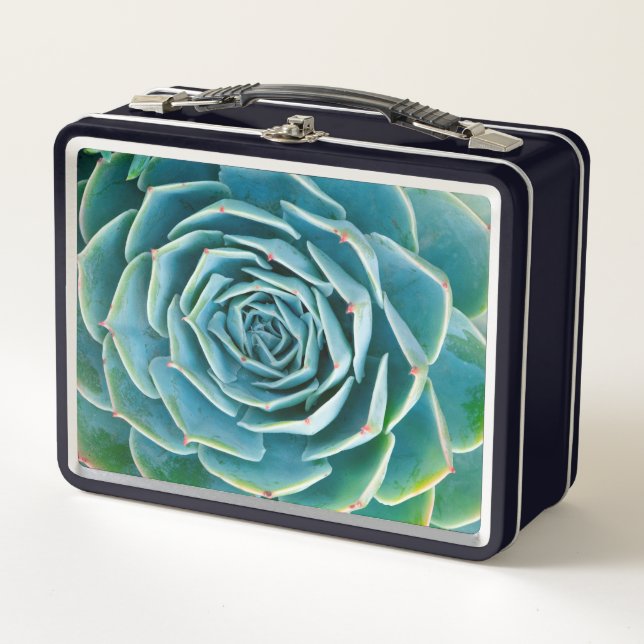 Lunch Box Rosette d'Echeveria, Jardin Secret de Marrakech (Devant)