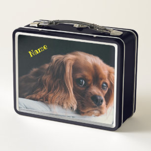 Lunch Box Ruby Cavalier King Charles Spaniel Chien