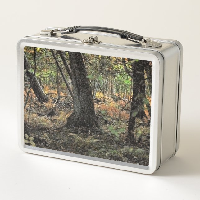 Lunch Box Scène de forêt automnale  (Devant)