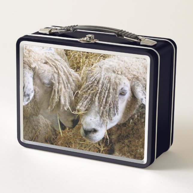 LUNCH BOX SHEEP (Devant)