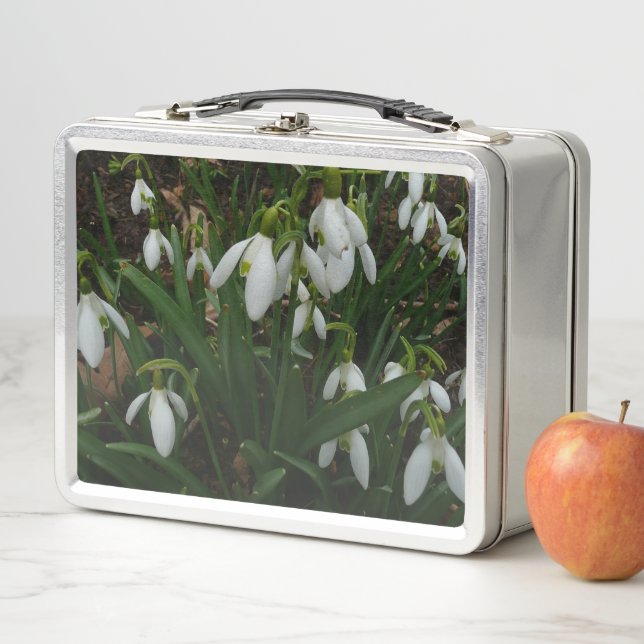 Lunch Box Snowdrops I (En situation)