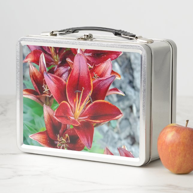 Lunch Box Stargazer Lily, Photographie à fleurs rouges (En situation)