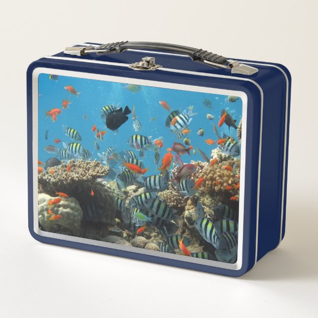 Lunch Box Stripey Poisson Tropical Coral Chaos (Devant)