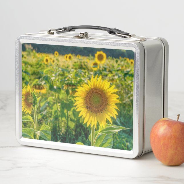 Lunch Box Terrain de tournesol doré (En situation)