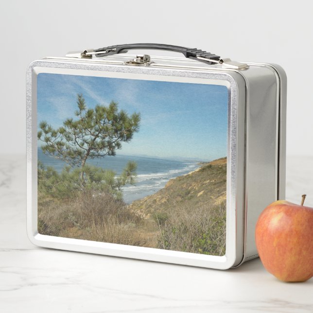 Lunch Box Torrey Pine and California Coastline Landscape (En situation)