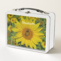 tournesol, Déjeuner, boîtes, modèle, coloré+ artis