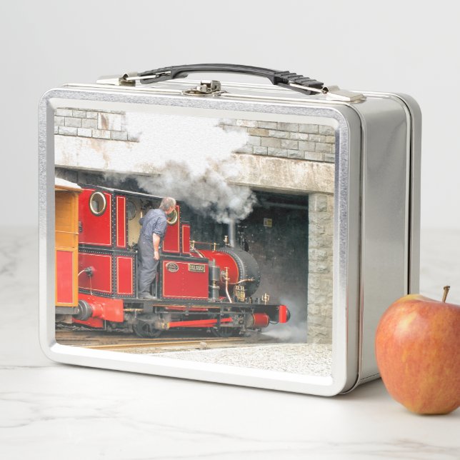 LUNCH BOX TRAINS À VAPEUR (En situation)