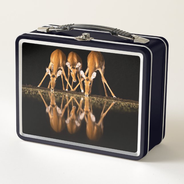 Lunch Box Trois impalas boivent ensemble la nuit (Devant)